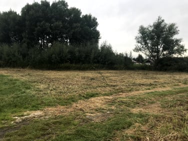 Pusta działka Chrząstawa Mała