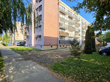 Mieszkanie Września