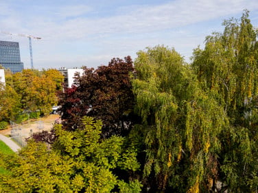 Mieszkanie Poznań