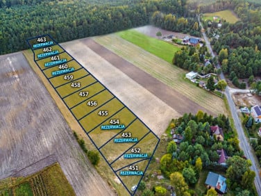Działka Lipa