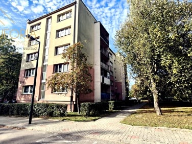Mieszkanie Łódź