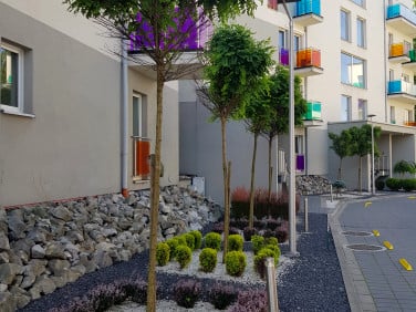 Mieszkanie Bielsko-Biała