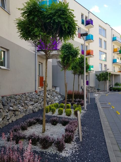 Mieszkanie Bielsko-Biała