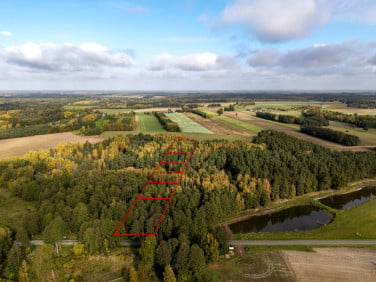 Działka rekreacyjna Chorzeszów