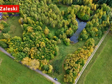 Działka Pomlewo