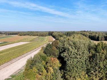 Działka budowlano-rolna Gwizdów sprzedam