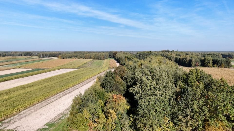 Działka budowlano-rolna Gwizdów sprzedam