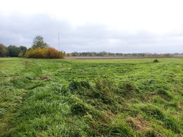 Działka Walendów