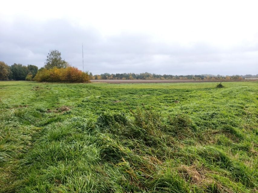 Działka Walendów
