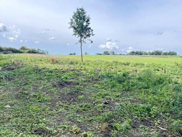 Działka budowlana Pokrzywnica