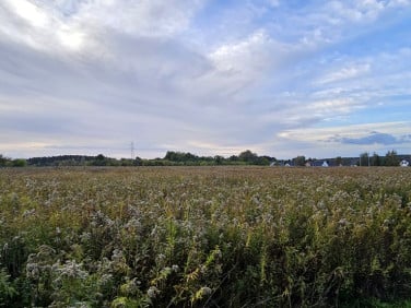 Działka budowlana Mrozów
