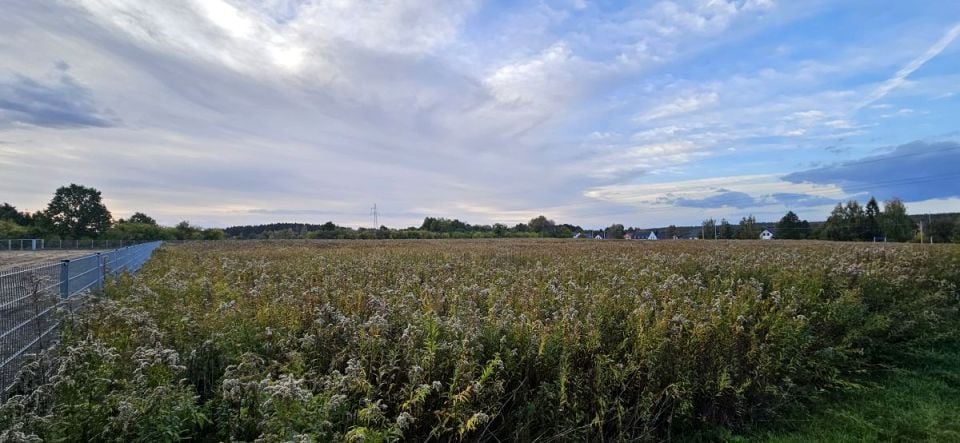 Grundstück, 3000 m²