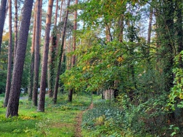 Działka Zalesie Górne