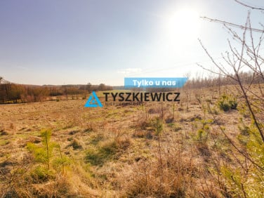 Działka Szczodrowo