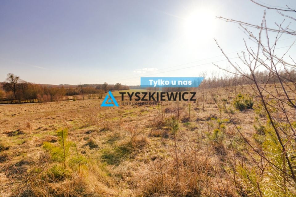 Działka Szczodrowo