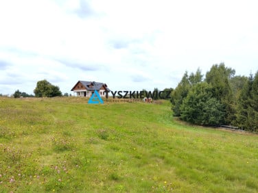 Działka przy lesie