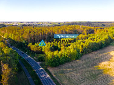 Działka Skorzewo