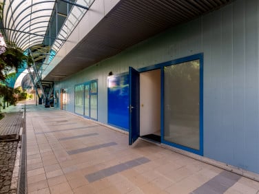 Lokal Poznań