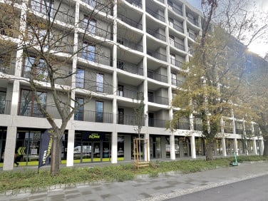 Lokal Warszawa