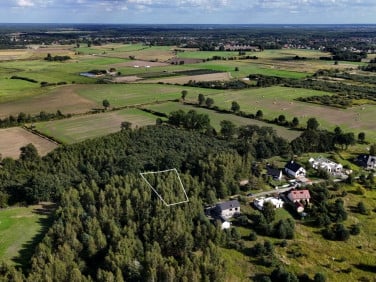 Działka przy lesie