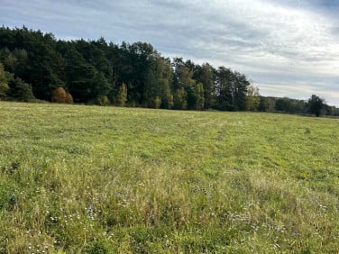 Działka budowlana Przewóz