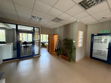 Lokal Rzeszów