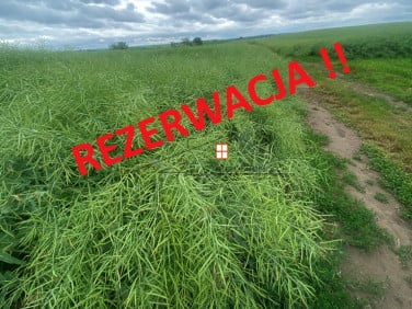 Działka rolna Radymno