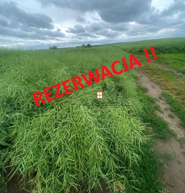 Działka rolna Radymno