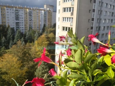 Mieszkanie blok mieszkalny Warszawa