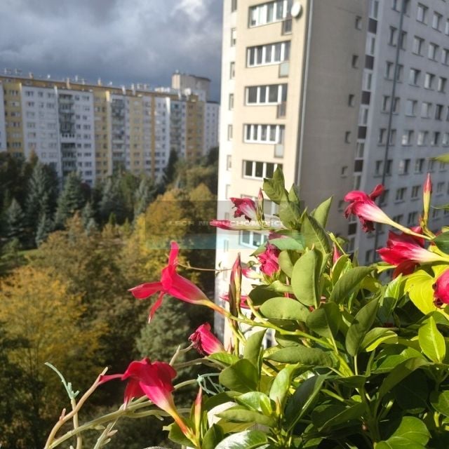 Mieszkanie blok mieszkalny Warszawa