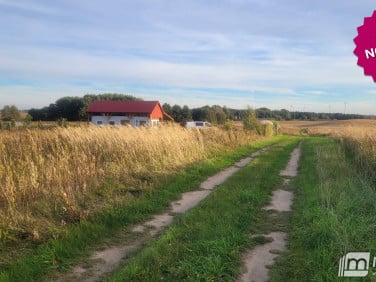 Działka budowlana Czernin