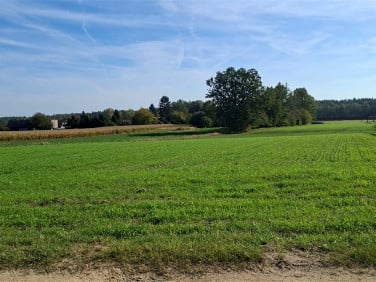 Działka budowlana Międzyrzecze
