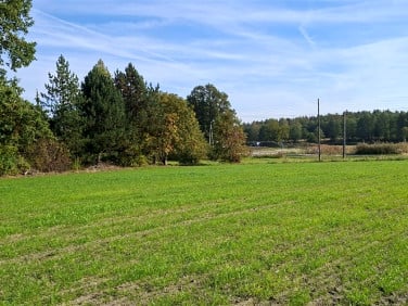 Działka Międzyrzecze