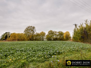 Działka budowlana Bielsk Podlaski