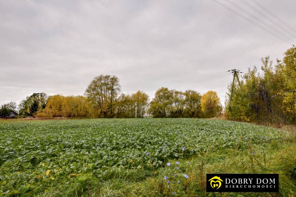 Działka budowlana Bielsk Podlaski