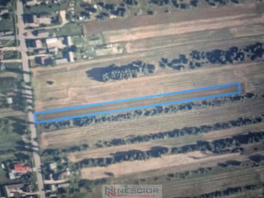 Działka Dąbrowa