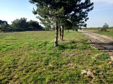 Działka Rusiec