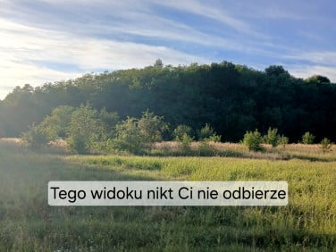 Działka Częstochowa