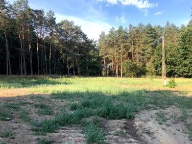 Działka budowlana Trzebież