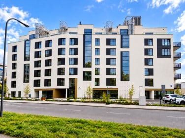 Lokal Warszawa