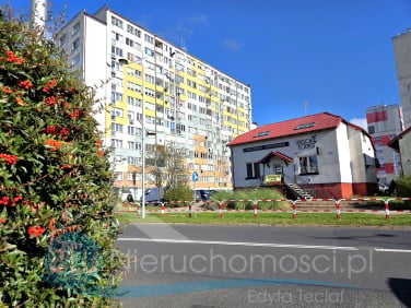 Lokal Polkowice