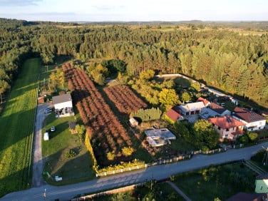 Działka budowlana Samsonówka