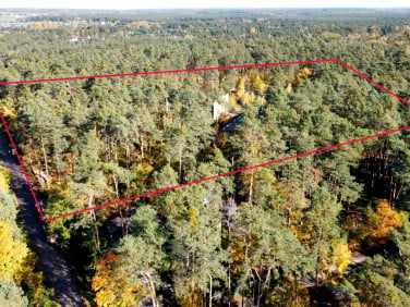 Działka usługowa Włodzimierzów