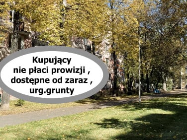 Mieszkanie przy lesie