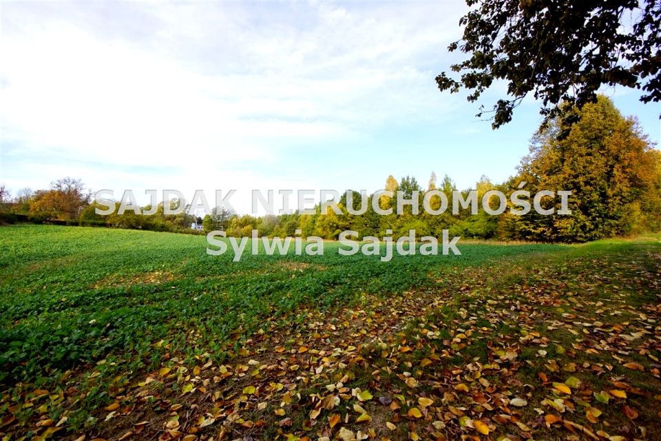 Sprzedam działkę Jastrzębie-Zdrój - 6 700 m²
