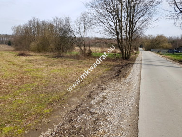 Działka Borszyce