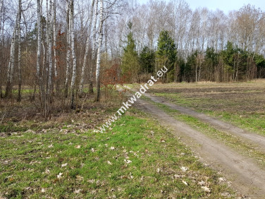 Działka Borszyce
