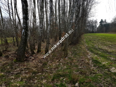 Działka Borszyce