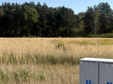 Działka budowlana Niedźwiedź