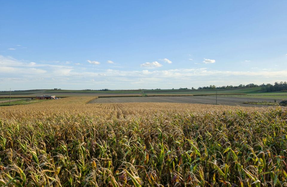 Działka budowlana Grodzisko Nowe